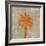 Coastal 5-David Dauncey-Framed Giclee Print