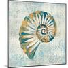 Coastal Beauty II-Sarah Mousseau-Mounted Art Print