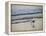 Coastal Bird, Morro Bay Coast-Anna Miller-Framed Premier Image Canvas