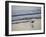 Coastal Bird, Morro Bay Coast-Anna Miller-Framed Photographic Print