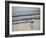 Coastal Bird, Morro Bay Coast-Anna Miller-Framed Photographic Print