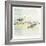 Coastal Birds I-Ken Hurd-Framed Giclee Print