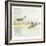 Coastal Birds I-Ken Hurd-Framed Giclee Print