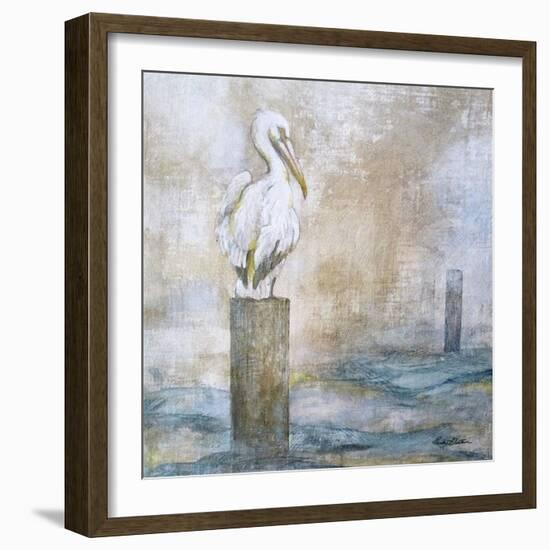 Coastal Birds I-Paula Giltner-Framed Art Print