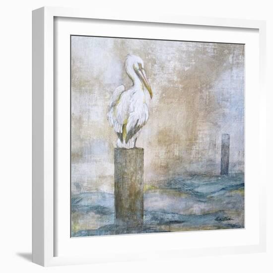 Coastal Birds I-Paula Giltner-Framed Art Print