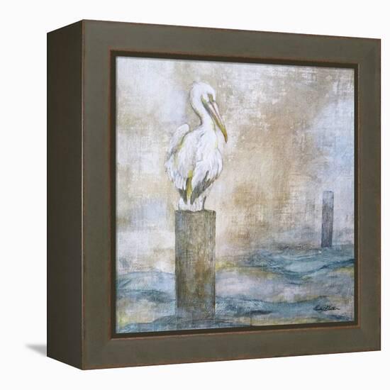 Coastal Birds I-Paula Giltner-Framed Stretched Canvas