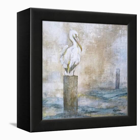 Coastal Birds I-Paula Giltner-Framed Stretched Canvas
