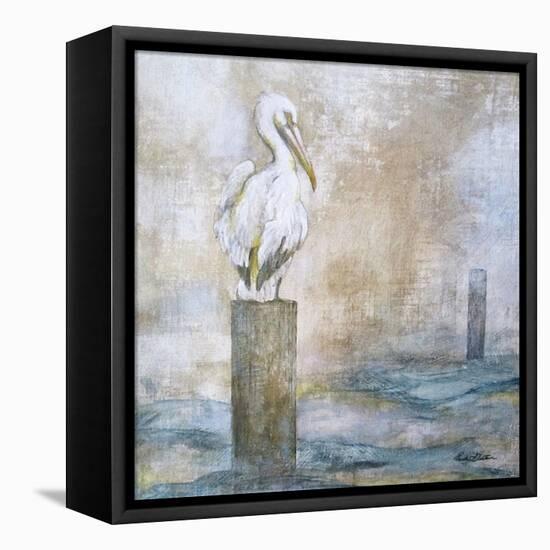 Coastal Birds I-Paula Giltner-Framed Stretched Canvas