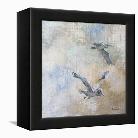 Coastal Birds II-Paula Giltner-Framed Stretched Canvas