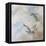 Coastal Birds II-Paula Giltner-Framed Stretched Canvas