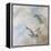 Coastal Birds II-Paula Giltner-Framed Stretched Canvas