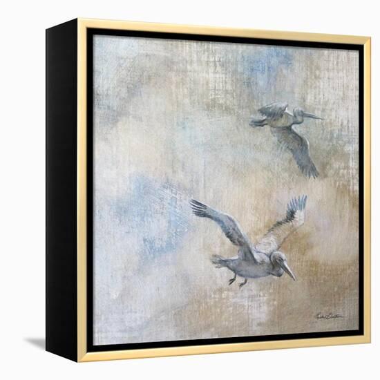 Coastal Birds II-Paula Giltner-Framed Stretched Canvas