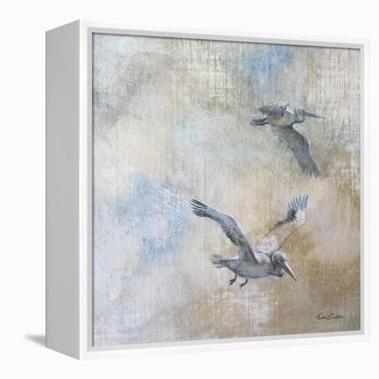 Coastal Birds II-Paula Giltner-Framed Stretched Canvas