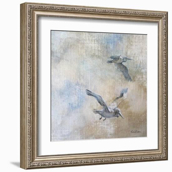 Coastal Birds II-Paula Giltner-Framed Art Print