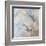 Coastal Birds II-Paula Giltner-Framed Art Print