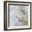 Coastal Birds II-Paula Giltner-Framed Art Print