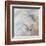 Coastal Birds II-Paula Giltner-Framed Art Print