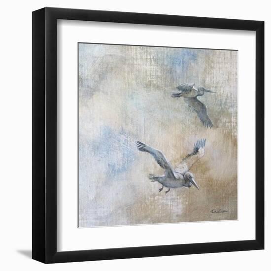 Coastal Birds II-Paula Giltner-Framed Art Print