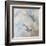 Coastal Birds II-Paula Giltner-Framed Art Print