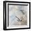 Coastal Birds II-Paula Giltner-Framed Art Print