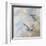 Coastal Birds II-Paula Giltner-Framed Art Print