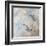 Coastal Birds II-Paula Giltner-Framed Art Print