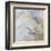 Coastal Birds II-Paula Giltner-Framed Art Print