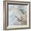 Coastal Birds II-Paula Giltner-Framed Art Print