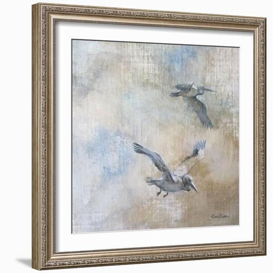 Coastal Birds II-Paula Giltner-Framed Art Print