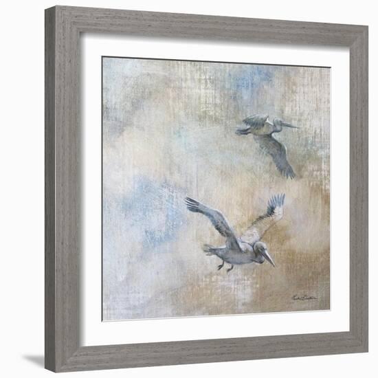Coastal Birds II-Paula Giltner-Framed Art Print