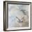 Coastal Birds II-Paula Giltner-Framed Art Print