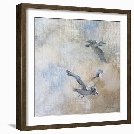 Coastal Birds II-Paula Giltner-Framed Art Print