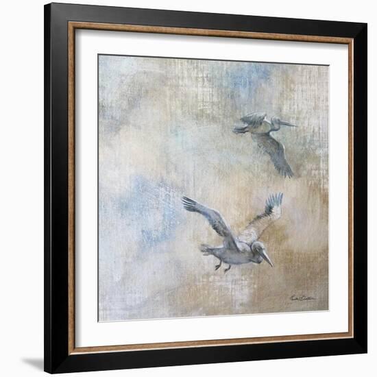 Coastal Birds II-Paula Giltner-Framed Art Print