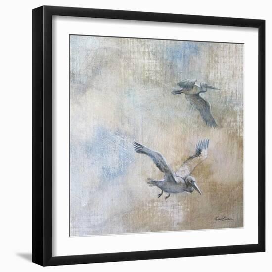 Coastal Birds II-Paula Giltner-Framed Art Print