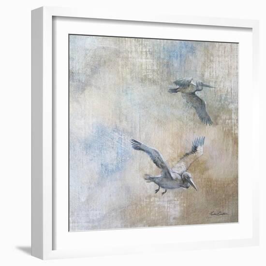 Coastal Birds II-Paula Giltner-Framed Art Print