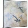 Coastal Birds II-Paula Giltner-Mounted Art Print