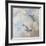 Coastal Birds II-Paula Giltner-Framed Art Print