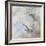 Coastal Birds II-Paula Giltner-Framed Art Print