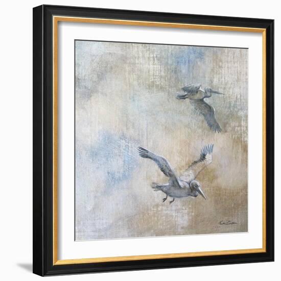 Coastal Birds II-Paula Giltner-Framed Art Print