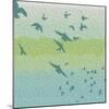 Coastal Birds Of Flight-Jace Grey-Mounted Art Print