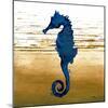 Coastal Blue III-Elizabeth Medley-Mounted Art Print