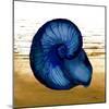 Coastal Blue IV-Elizabeth Medley-Mounted Art Print