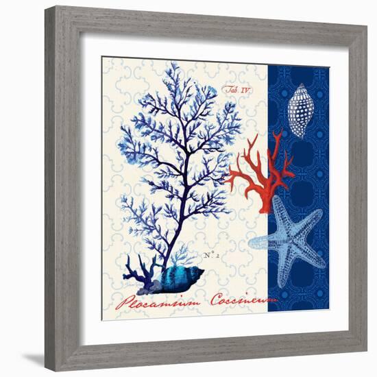 Coastal Botanical-Devon Ross-Framed Art Print