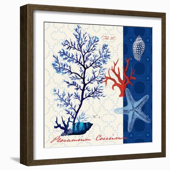 Coastal Botanical-Devon Ross-Framed Art Print