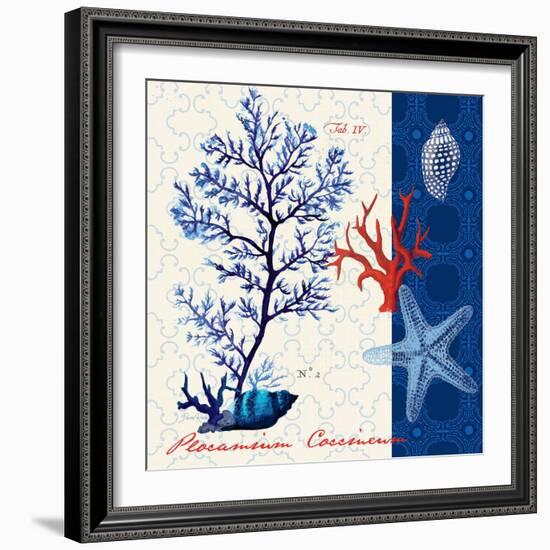 Coastal Botanical-Devon Ross-Framed Art Print