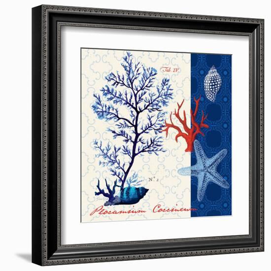 Coastal Botanical-Devon Ross-Framed Art Print