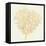 Coastal Breeze Shell Sketches I-Anne Tavoletti-Framed Stretched Canvas