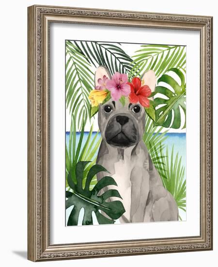 Coastal Canines I-Grace Popp-Framed Art Print