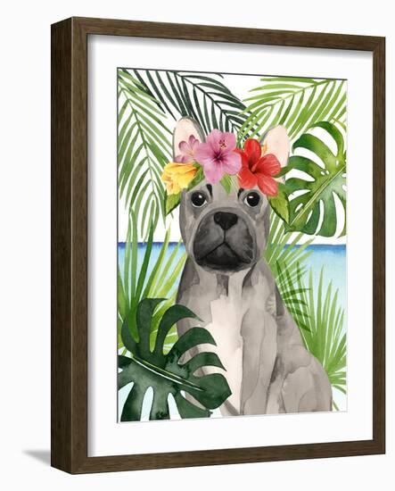 Coastal Canines I-Grace Popp-Framed Art Print