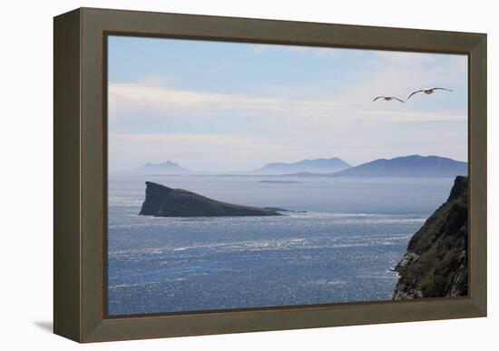 Coastal Cliffs, Falkland Islands-Charlotte Main-Framed Premier Image Canvas